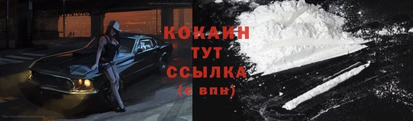 тгк Арсеньев
