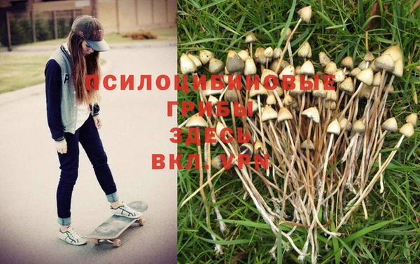 спиды Аркадак