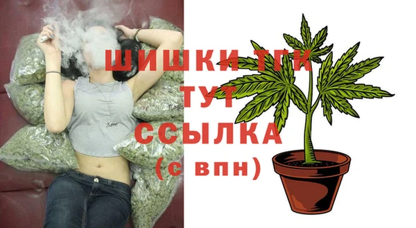 спиды Аркадак