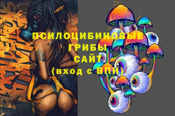спиды Аркадак