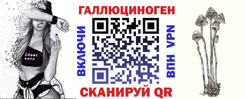 Псилоцибиновые грибы прущие грибы  закладка  Подпорожье 